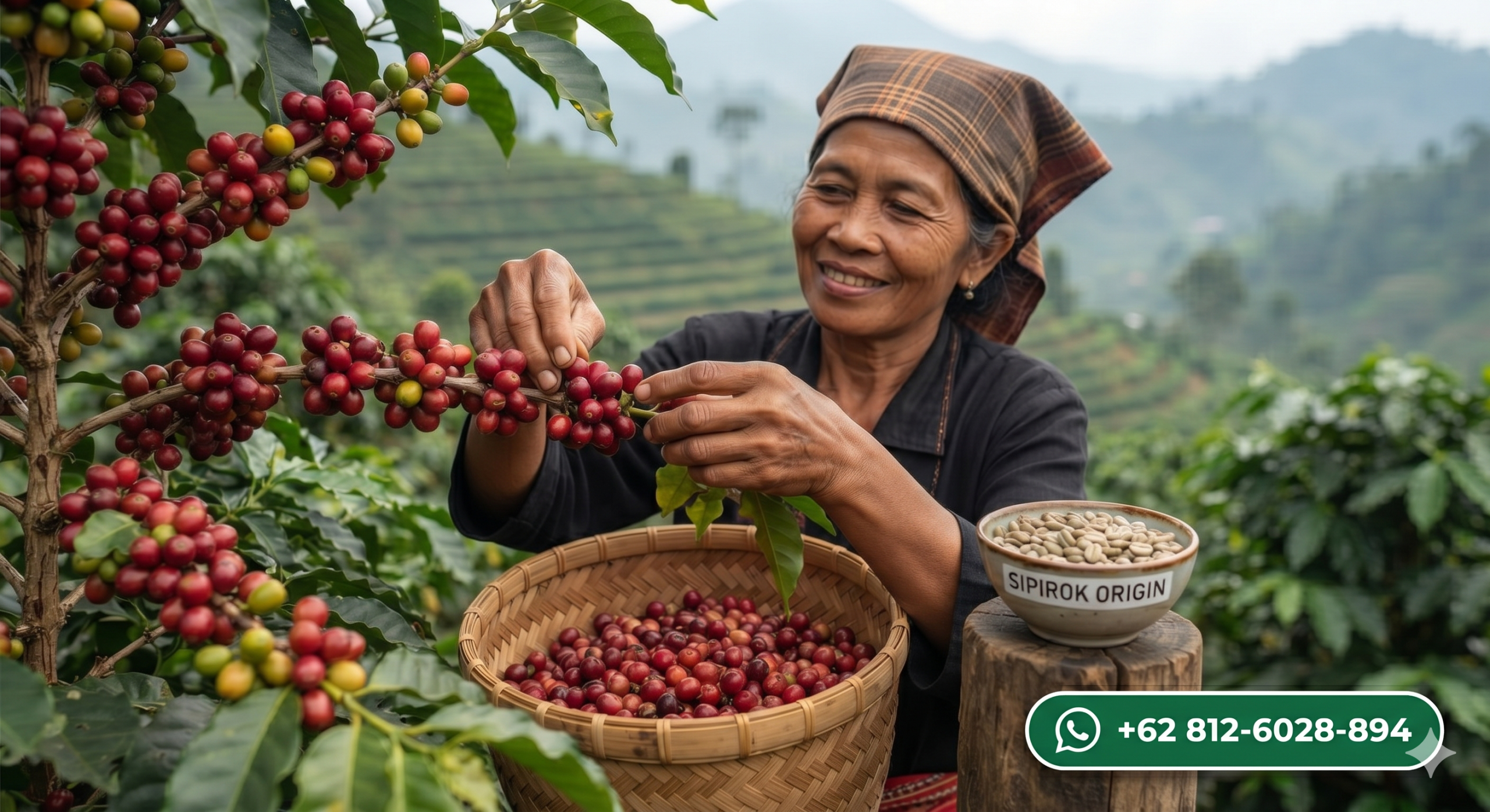 The Flavor Profile of Sipirok Arabica: What Makes This Sumatran Coffee Unique?